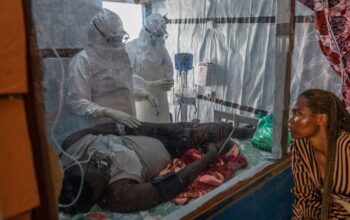 polio et l'Ebola